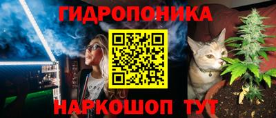 не бодяженный Заводоуковск