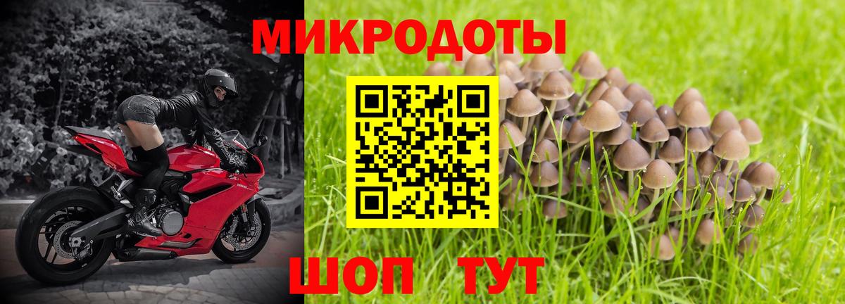 Галлюциногенные грибы Psilocybine cubensis  Вход с VPN  купить наркотик  Мирный 